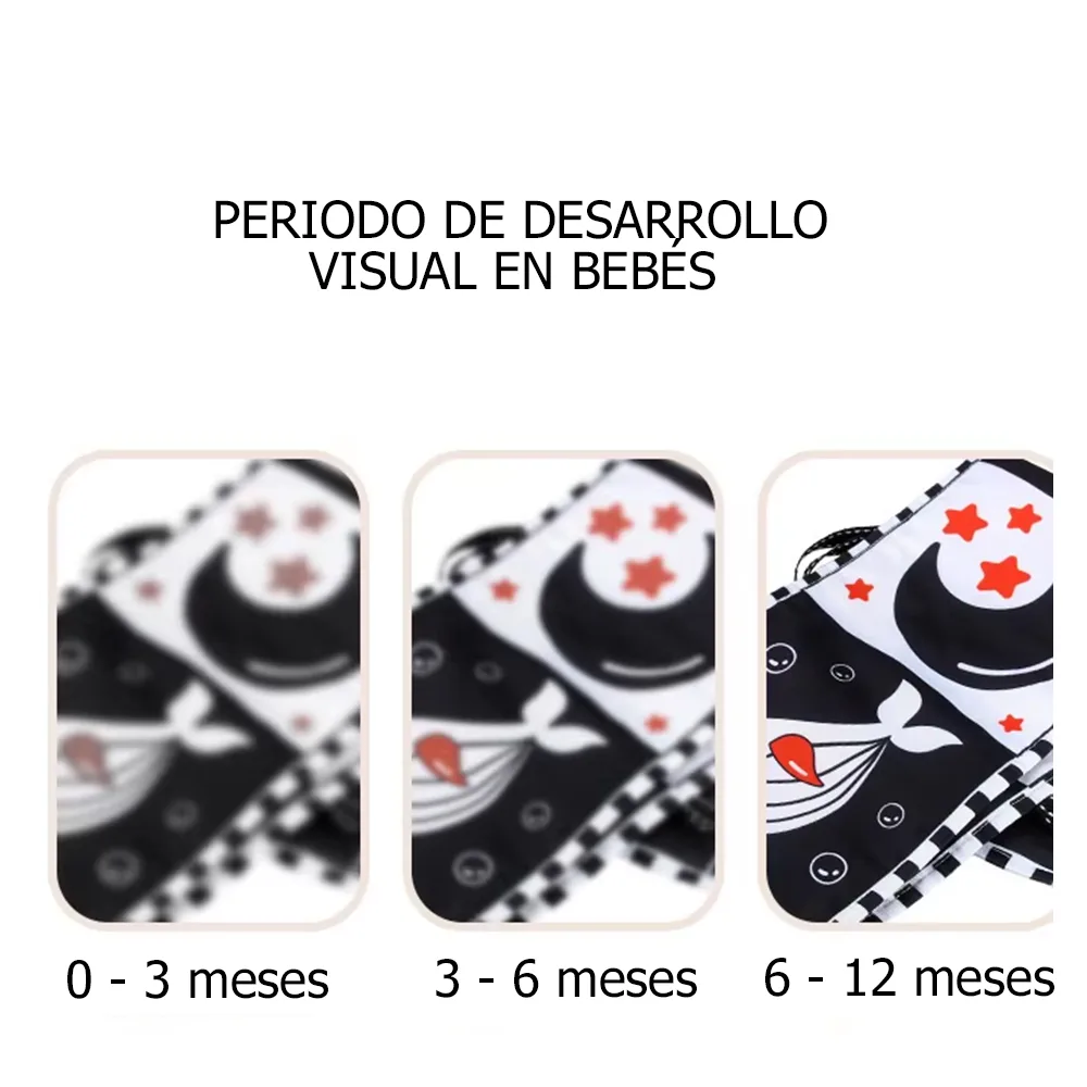 638106861721-3.jpg