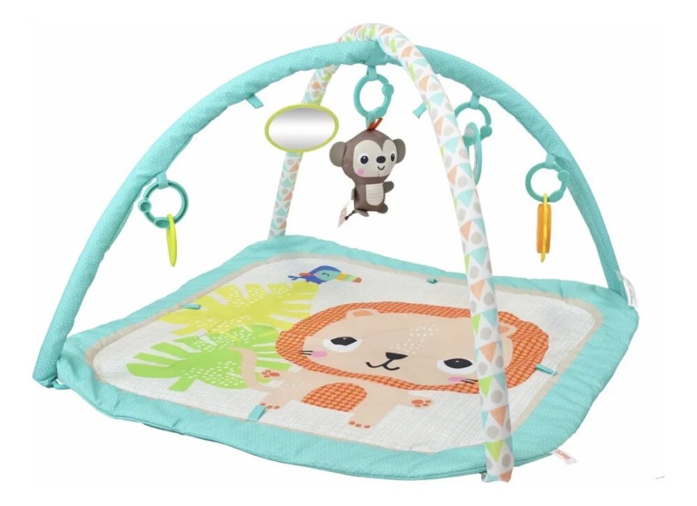 Gimnasio Safari bright starts